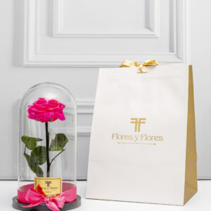 Rosa preservada premium