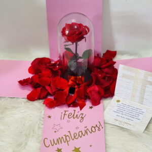 Rosa preservada luxury